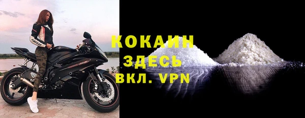 прущие грибы Нягань