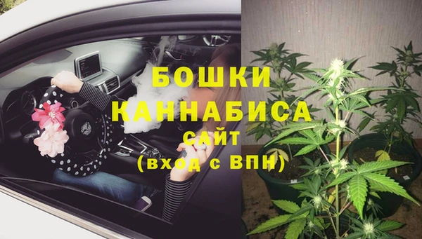 не бодяженный Беломорск