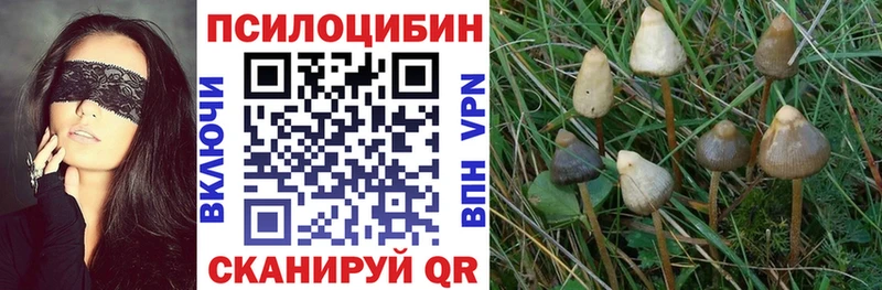 Псилоцибиновые грибы мицелий  что такое наркотик  Надым 